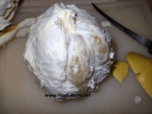 Pomelo nasıl soyulur