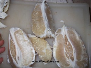 Pomelo nasıl yenir