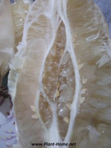 Pomelo soyulması