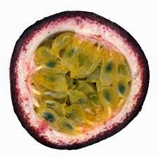 Passiflora