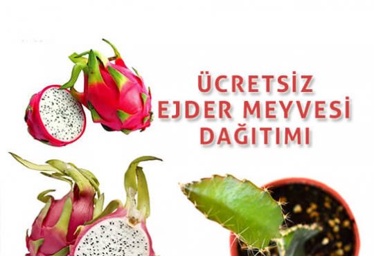 Çikolatalı Sarma Lokum Tarifi – Sütlü Tatlı Tarifleri Çikolatalı Sarma Lokum Tarifi – Sütlü Tatlı Tarifleri